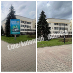 300 роз высадили в сквере «Металлург» в Донецке: город становится миллионом роз. Дайджест новостей за 8 апреля