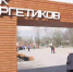 В Донецке расцвёл парк Энергетиков: активисты высадили розы - Донецк Медиа