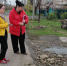 img - ЛДПР