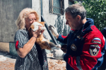 Восстановление школы для детей с ОВЗ в Мариуполе, расчистка русла Кальмиуса и футбольный турнир памяти Сергея Волкова в Тельманово. Дайджест за 16 августа